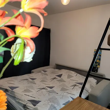 Appartamento Cosy 21m2 Renove 75019 Parigi
